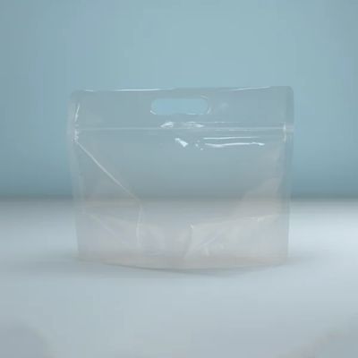 [ATOZ60-1] Transparent Rectangle Standup Pouch | 50 Pcs - 22 X 17 CM