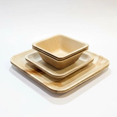 [ATOZ65-1] Shallow Plate Square | 10 Pcs - 5 INCH